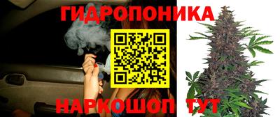 сатива Бузулук