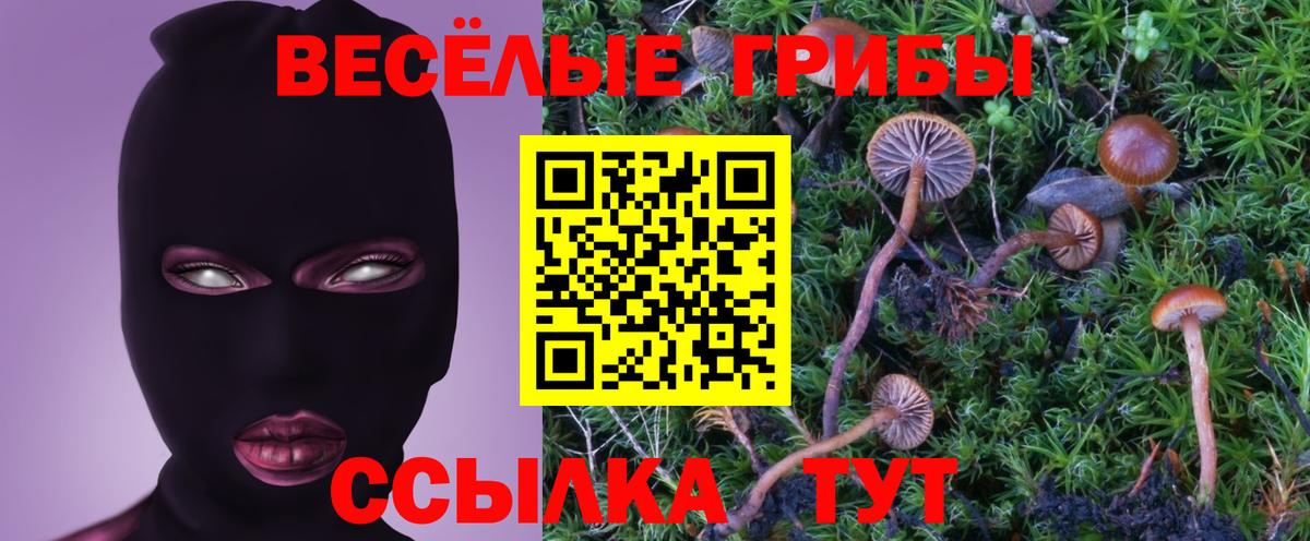 Псилоцибиновые грибы MAGIC MUSHROOMS  Галлюциногенные грибы прущие грибы  Нижнекамск  Вход с VPN 